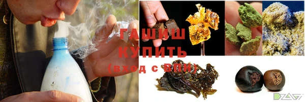 сатива Армянск