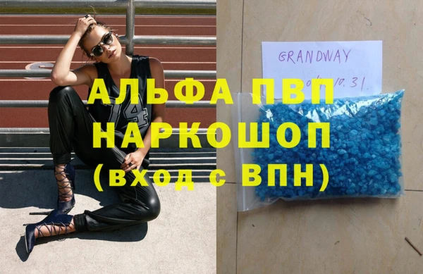 сатива Армянск