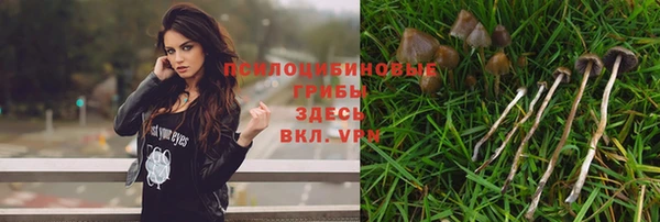 спиды Навашино